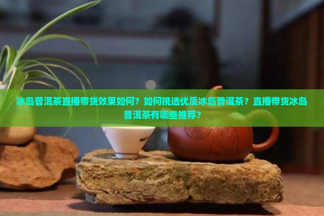 冰岛普洱茶直播带货