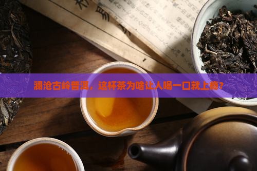 澜沧古岭普洱茶怎么样好喝吗