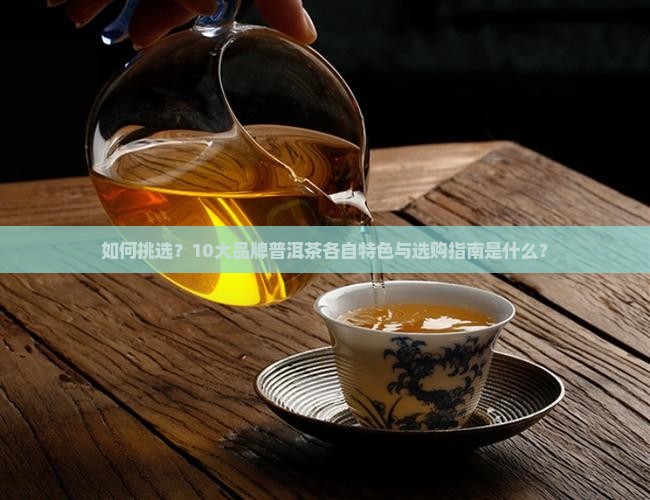 10大品牌普洱茶特色