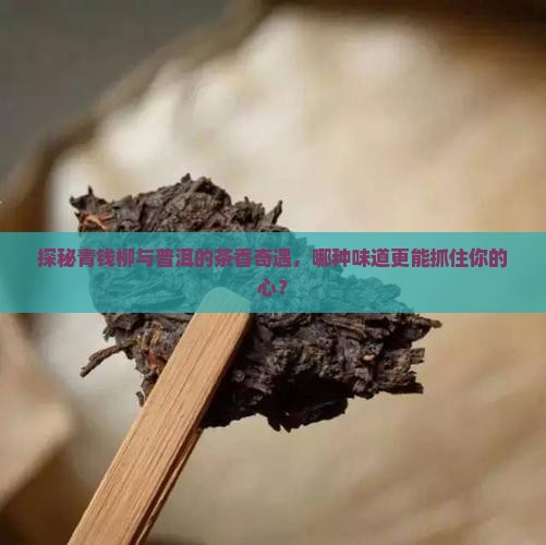 青钱柳茶与普洱茶