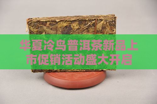 华夏冷鸟普洱茶