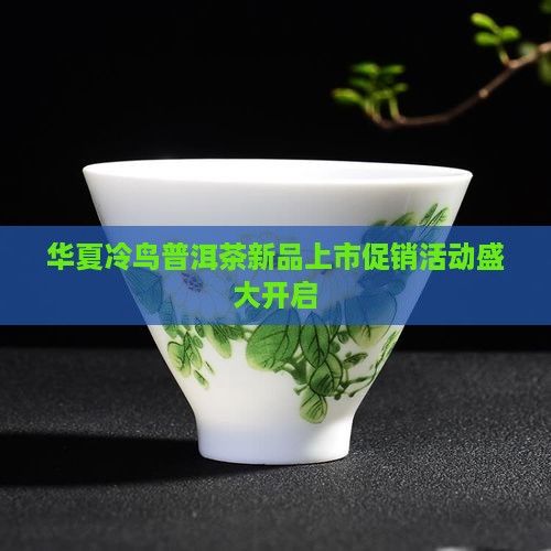 华夏冷鸟普洱茶