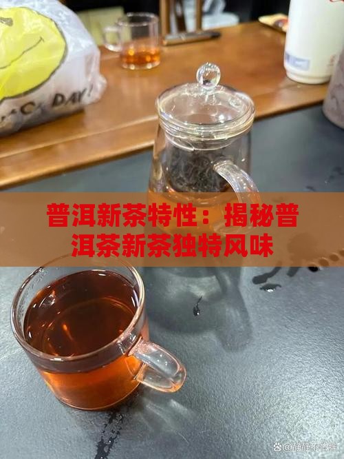 糯香普洱茶分新茶一说吗