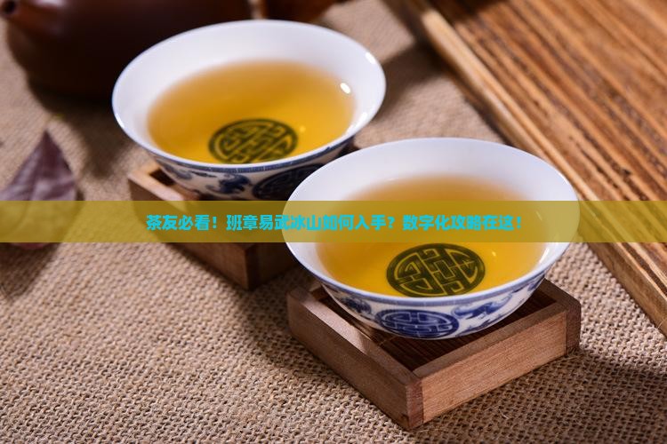 普洱茶产地班章易武冰 普洱茶产地班章易武冰