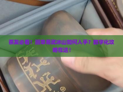 普洱茶产地班章易武冰 普洱茶产地班章易武冰