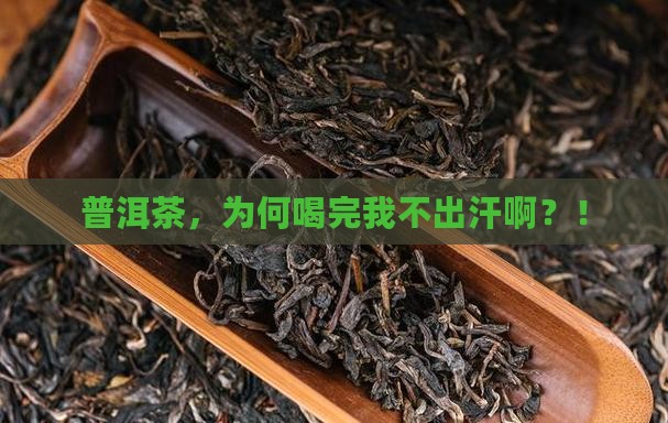 普洱茶喝了不出汗