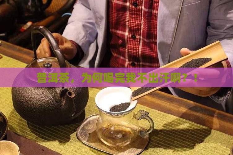 普洱茶喝了不出汗