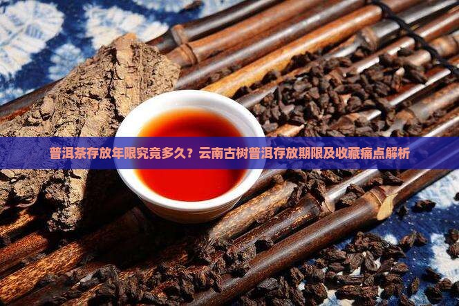 云南普洱茶能存放多久