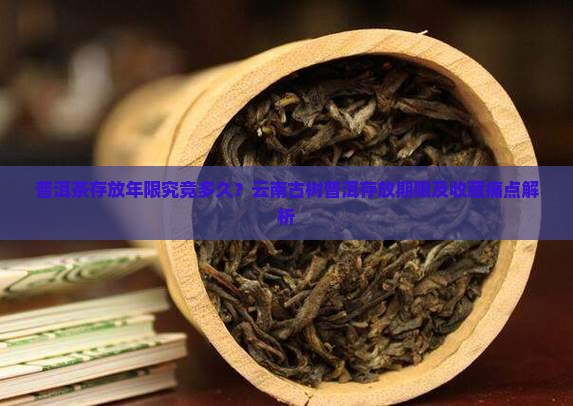 云南普洱茶能存放多久
