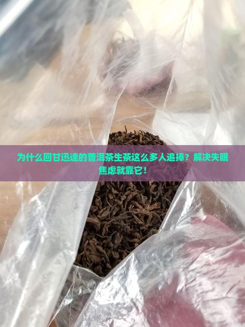 回甘迅速普洱茶生茶