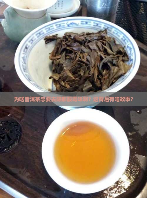 普洱茶为什么要去霉味