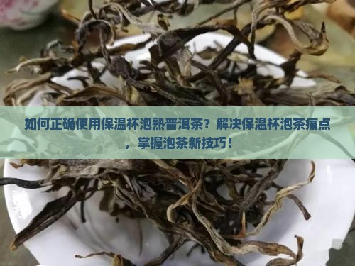 熟普洱茶保温杯怎么泡