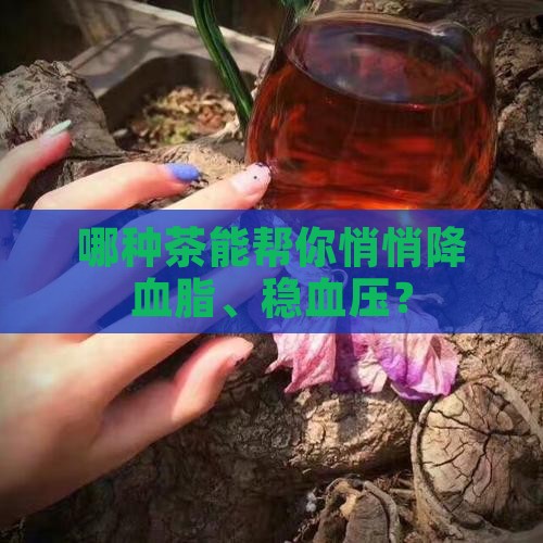 喝什么茶去血脂降血压