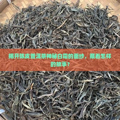 陈皮普洱茶上的白霜