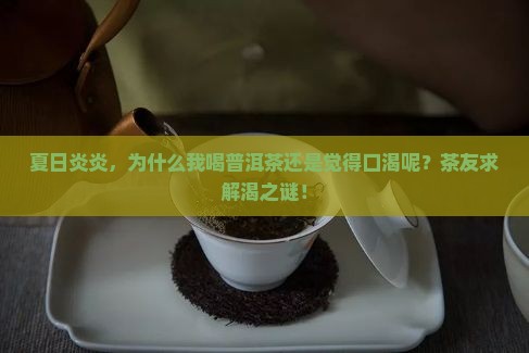 为什么普洱茶不解渴