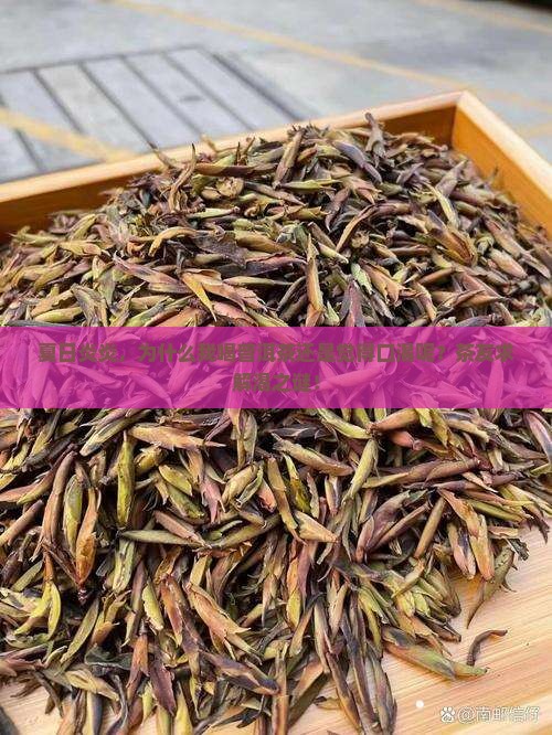 为什么普洱茶不解渴