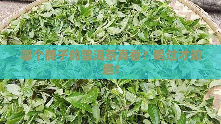 买普洱茶那个牌子好喝