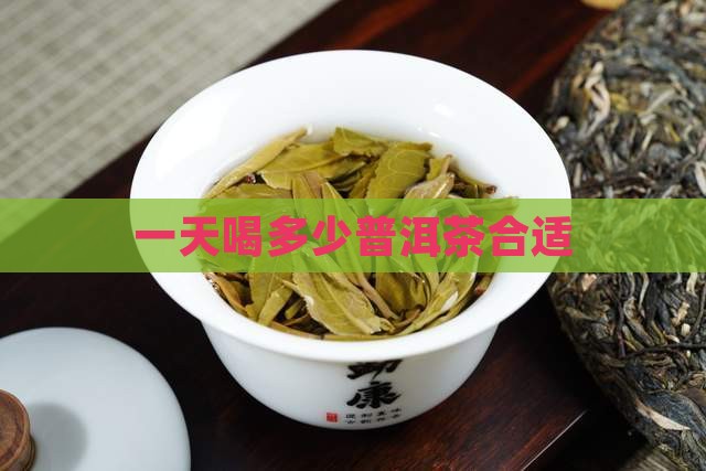 一天只能喝多少普洱茶
