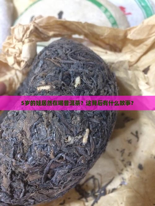 5岁孩子普洱茶