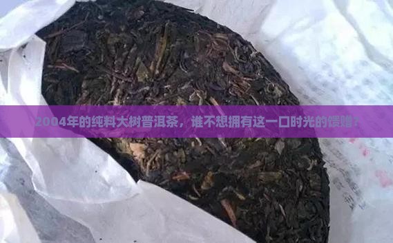 2004年纯料大树普洱茶