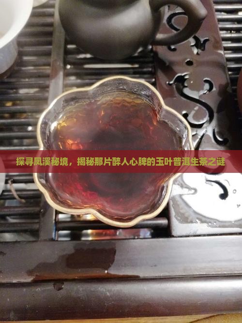 凤溪玉叶普洱茶生茶