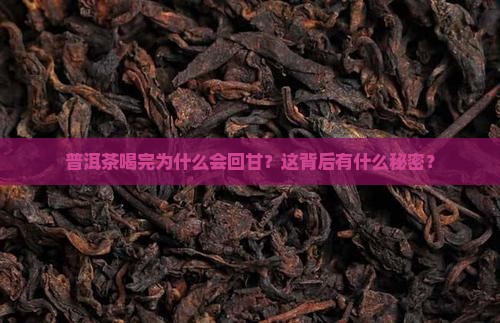 普洱茶回甘的功效