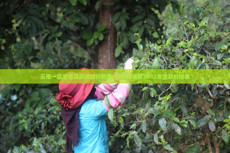 云南一品堂普洱茶瓷罐价格