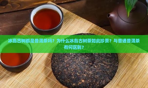 冰岛古树都是普洱茶吗为什么
