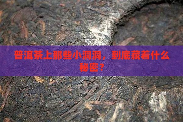 普洱茶有虫眼是什么原因