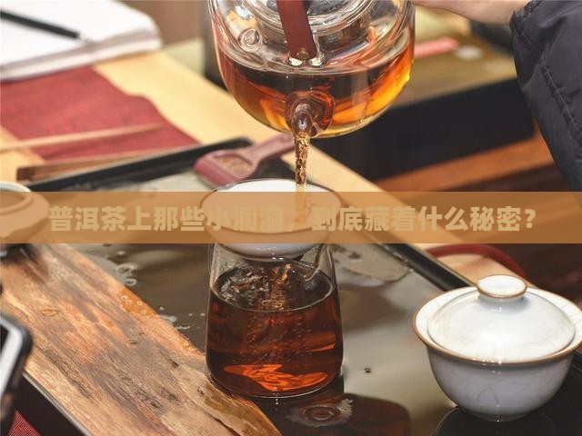 普洱茶有虫眼是什么原因