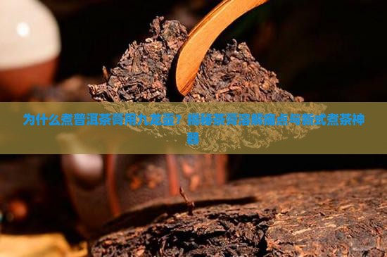 煮普洱茶膏的九龙壶
