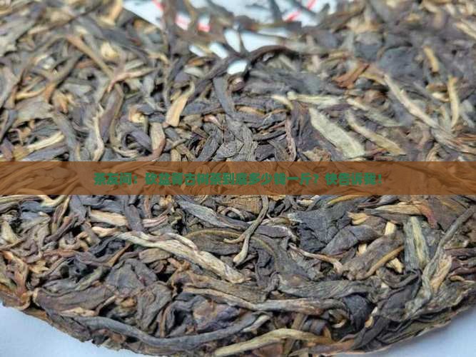砍盆箐古树茶多少钱一斤