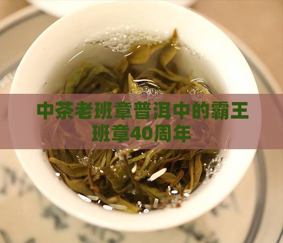 中茶40周年老班章