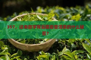 普洱茶357含义 普洱茶357含义