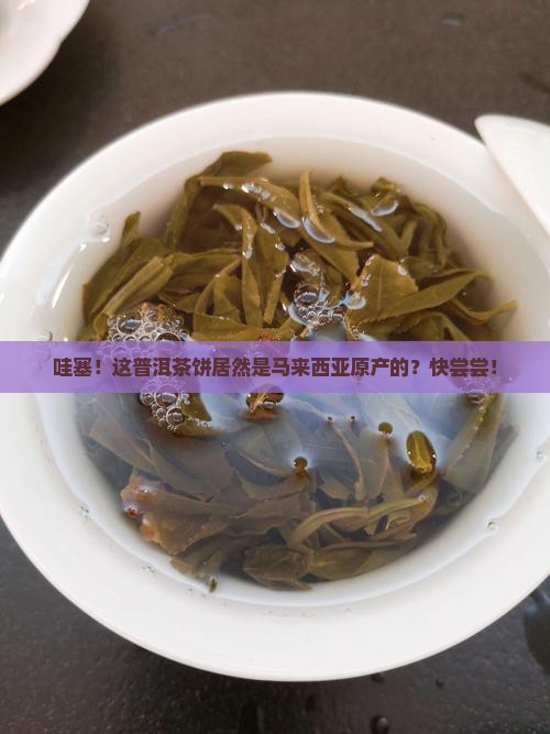 马来西亚原产普洱茶饼