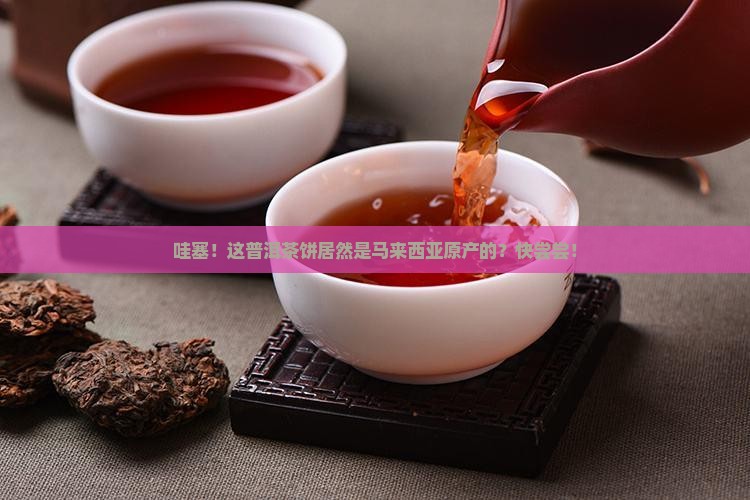 马来西亚原产普洱茶饼