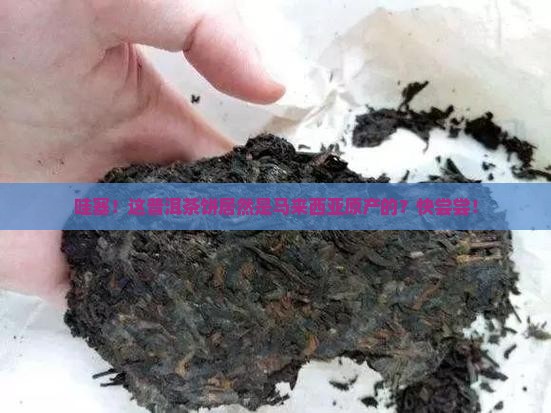 马来西亚原产普洱茶饼