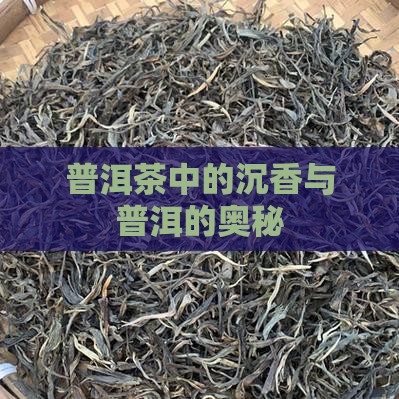 普洱茶有沉香吗吗