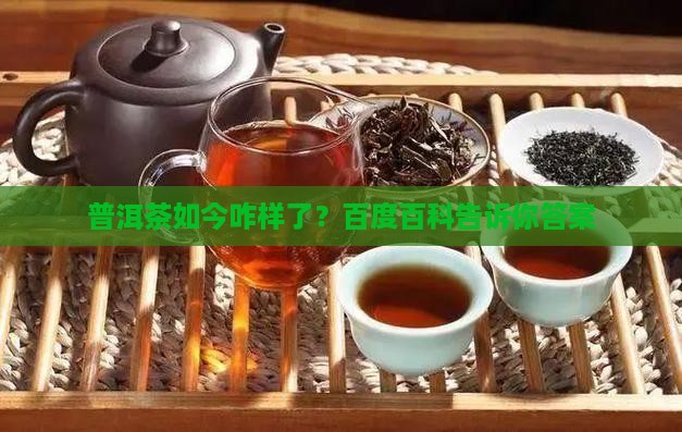 普洱茶现状百度百科