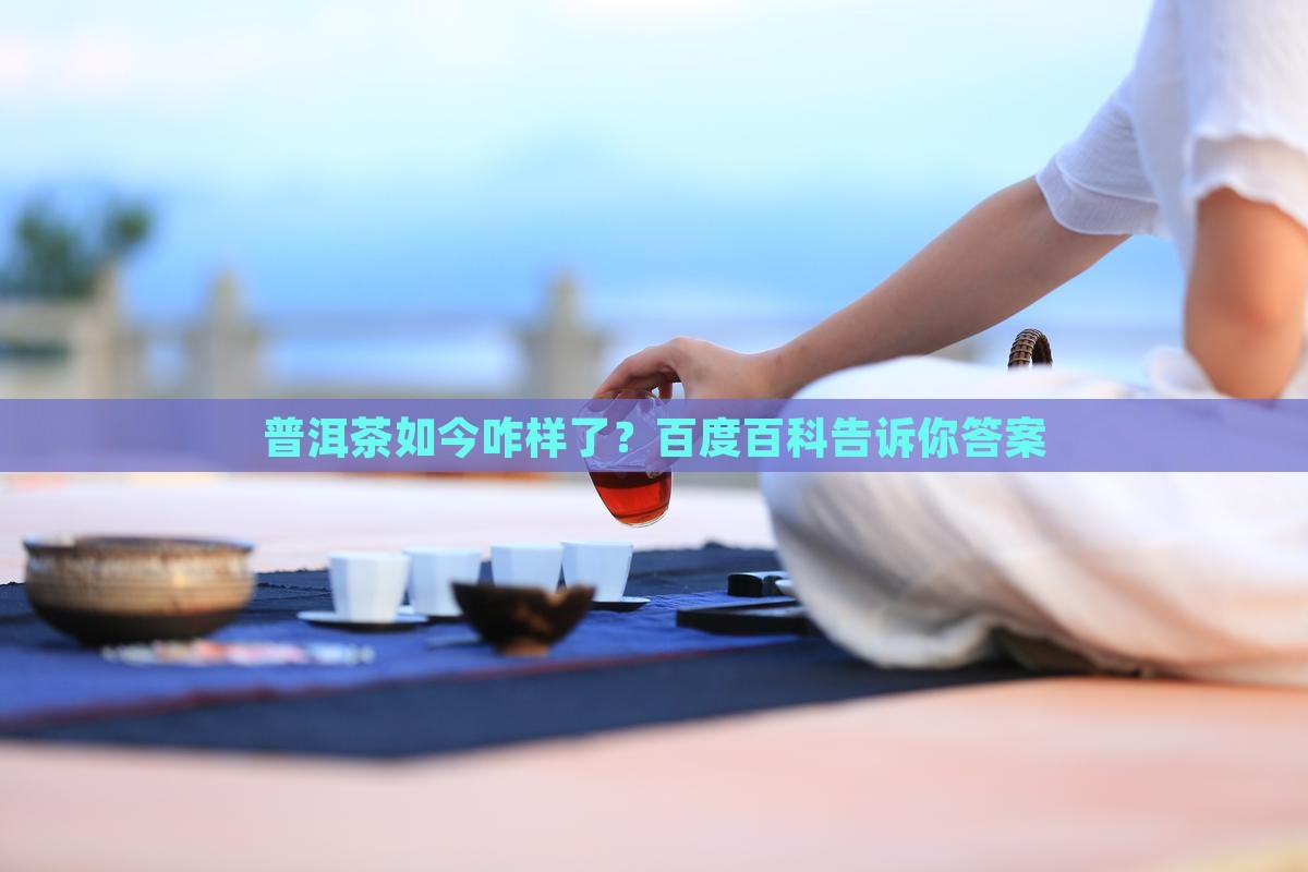 普洱茶现状百度百科