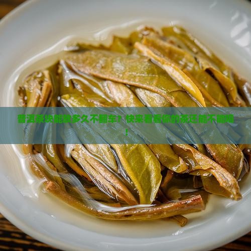 普洱茶块能放多久