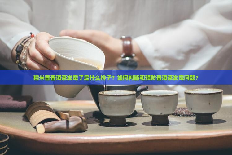糯米香普洱茶发霉的样子