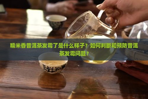 糯米香普洱茶发霉的样子