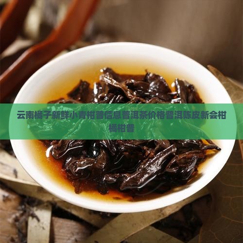 桔橘小青柑普洱茶