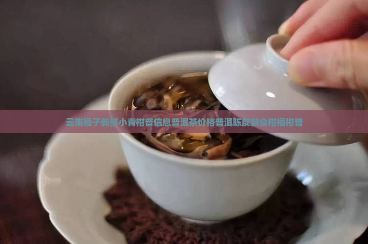 桔橘小青柑普洱茶