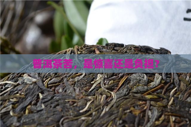 普洱茶苦好不好