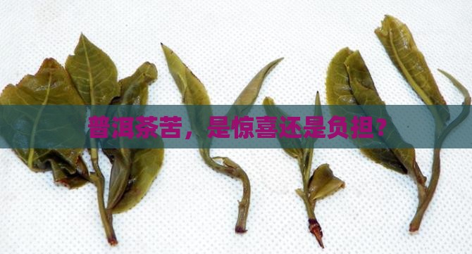 普洱茶苦好不好