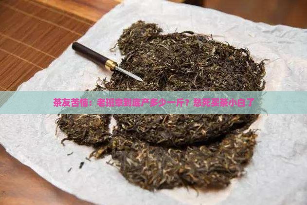 老班章产多少钱一斤