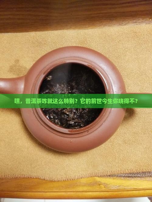 简介普洱茶的历史渊源和特点