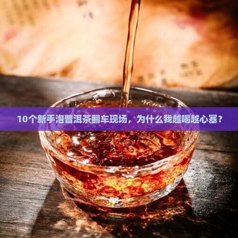 普洱茶很难泡吗为什么不能喝
